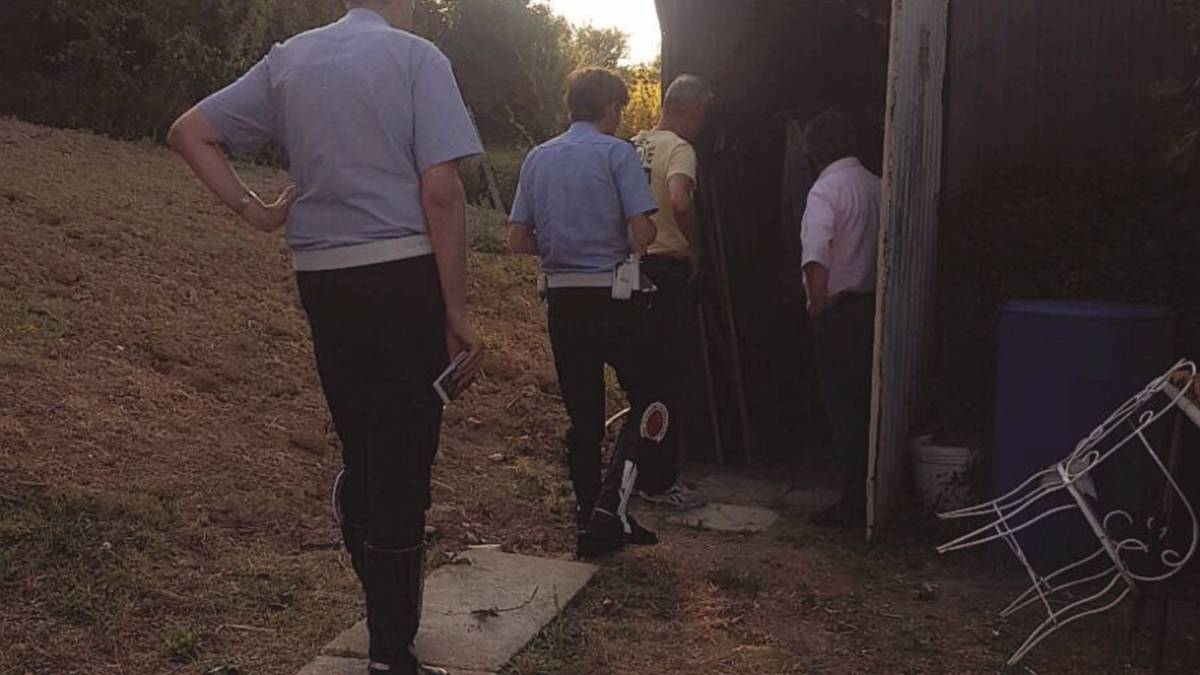 Attaccato da un rapace mentre cerca di difendere le sue galline
