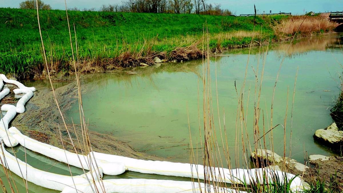 Gasolio nel Bevano, il Comune chiede i danni