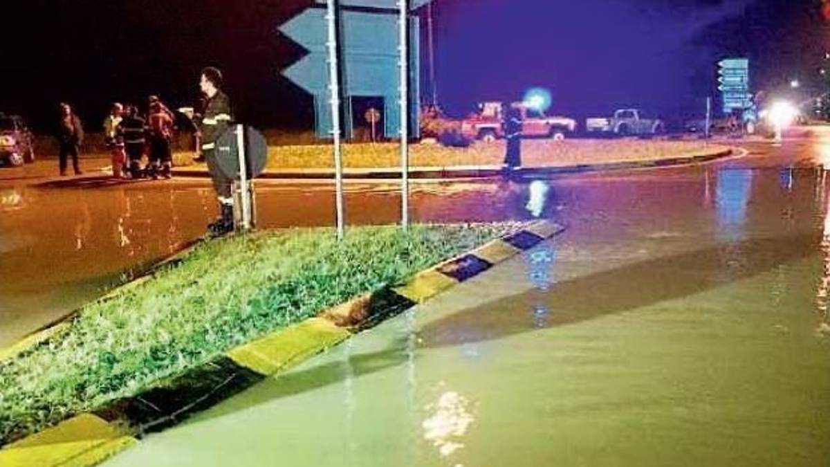 Maltempo, allagamenti a Castel Guelfo e smottamenti sulle colline imolesi