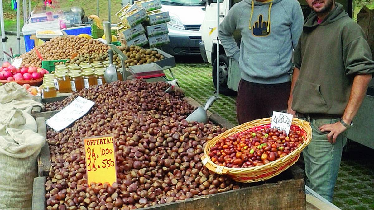 Premilcuore celebra la castagna, due domeniche di festa