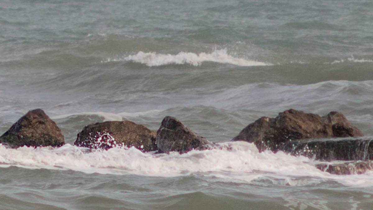 Ravenna, Escherichia Coli oltre i limiti: disposto il divieto temporaneo di balneazione a Punta Marina