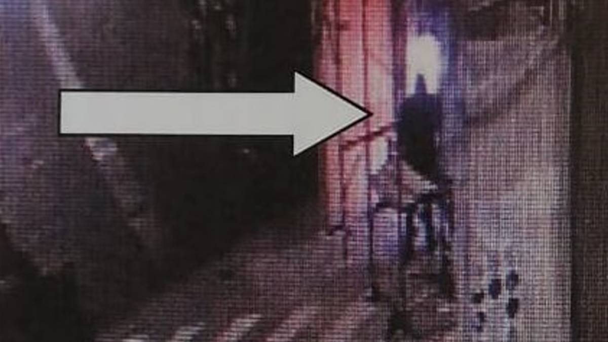 Faenza, tenta la spaccata dal tabaccaio con una mazza: denunciato 31enne