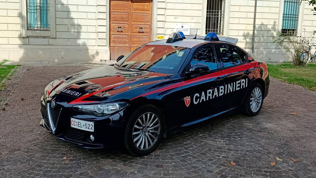 Lugo, una serra di marijuana nel giardino di casa: 26enne denunciato