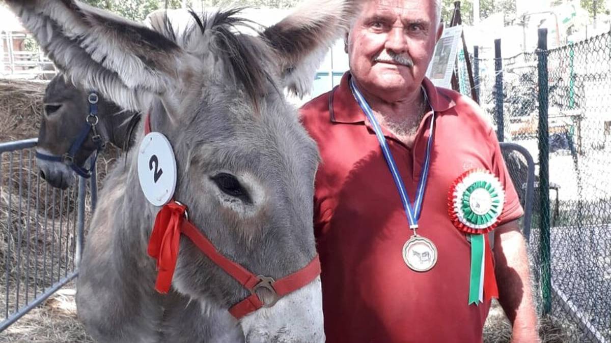 É di Cesena il giovane asino romagnolo più bello