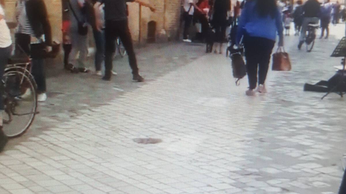 Ravenna, sospesa la licenza per suonare al menestrello di via Diaz