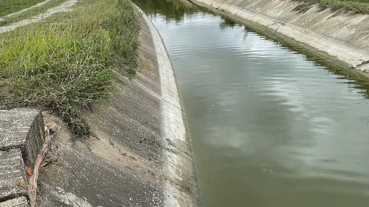 Cerca di salvare il cane e scivola nel canale. Muore cacciatore 78enne forlivese