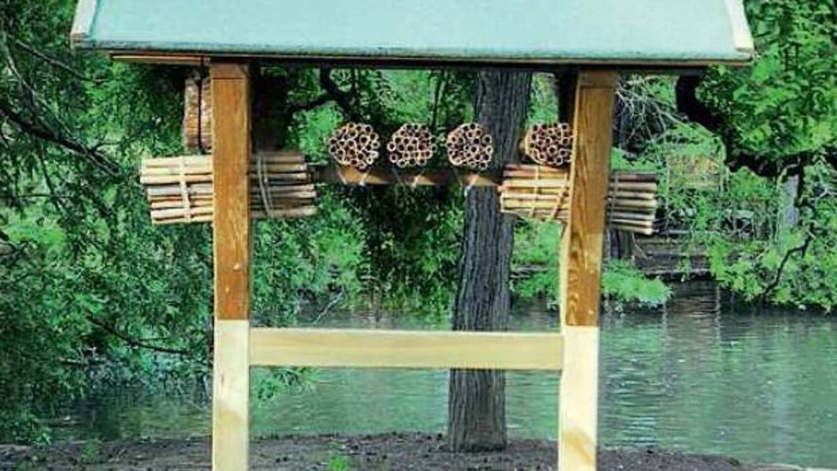 Faenza, al Parco Bucci il piano di edilizia popolare per animali