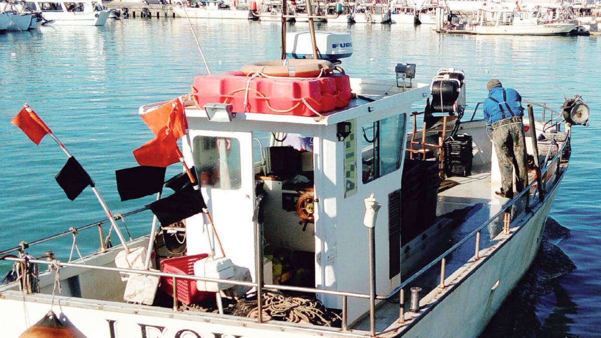 Cattolica, la piccola pesca artigianale investe sul futuro “green”
