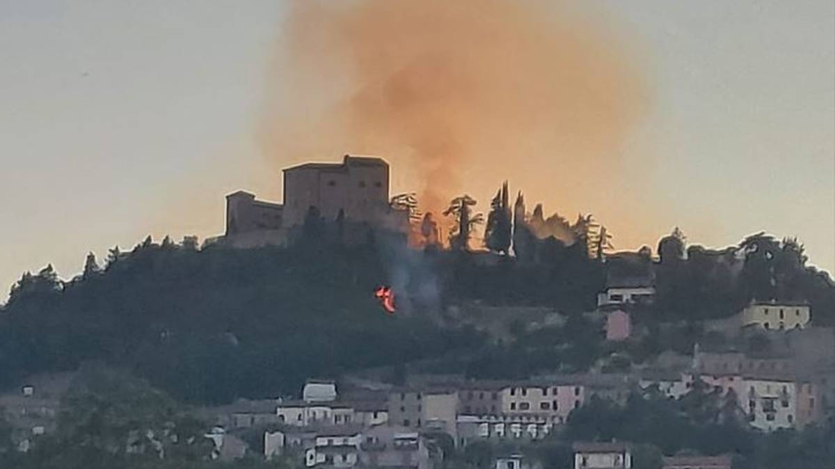 Bertinoro, incendio nella zona della Rocca
