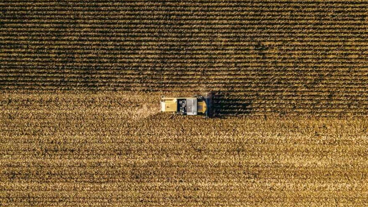 Affronte: il clima cambia, l'agricoltura soffre