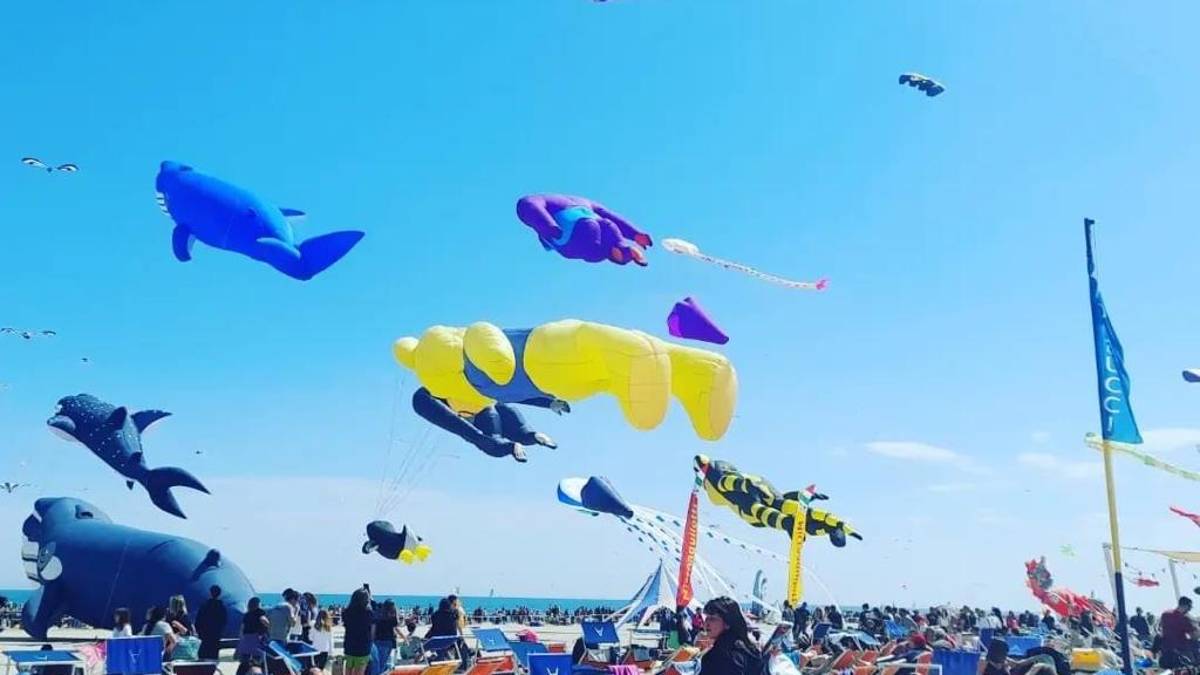 Aquiloni a Cervia, una magia che si rinnova VIDEO GALLERY