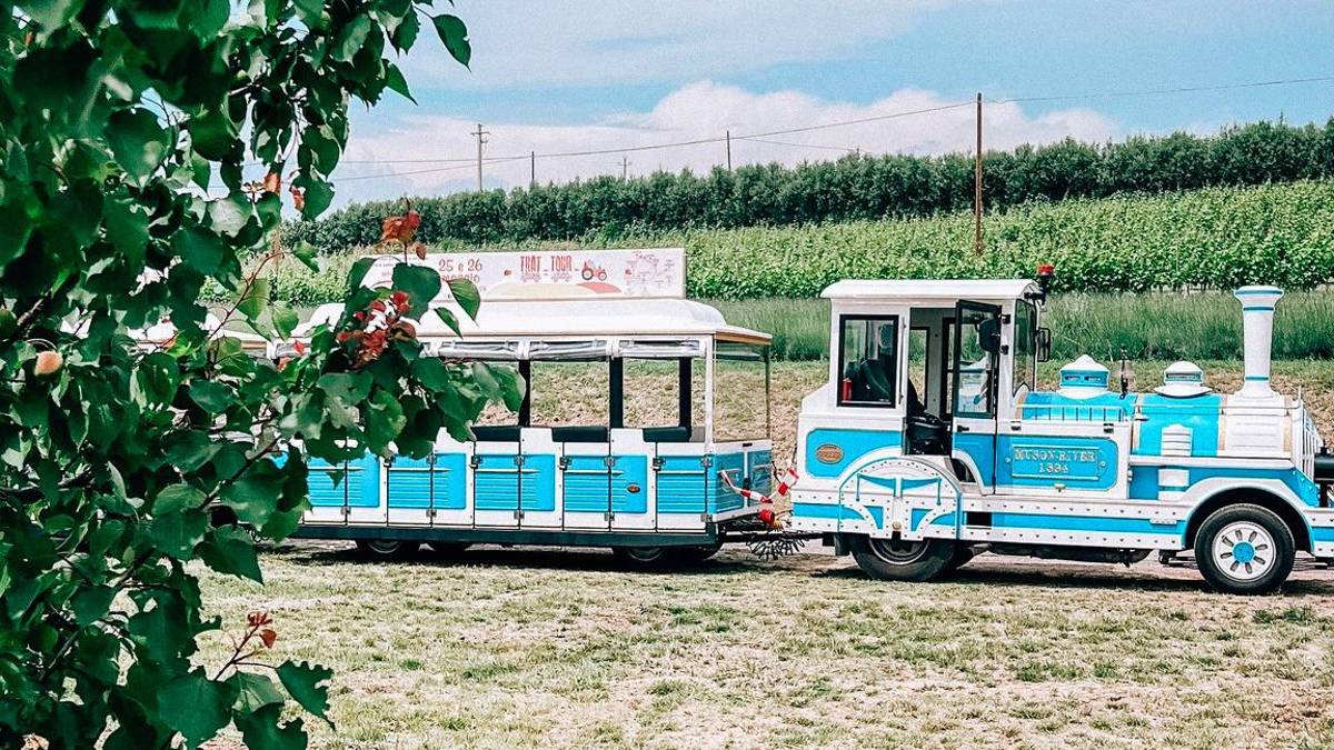 Degustazioni itineranti a Oriolo dei Fichi con il Trat-Tour