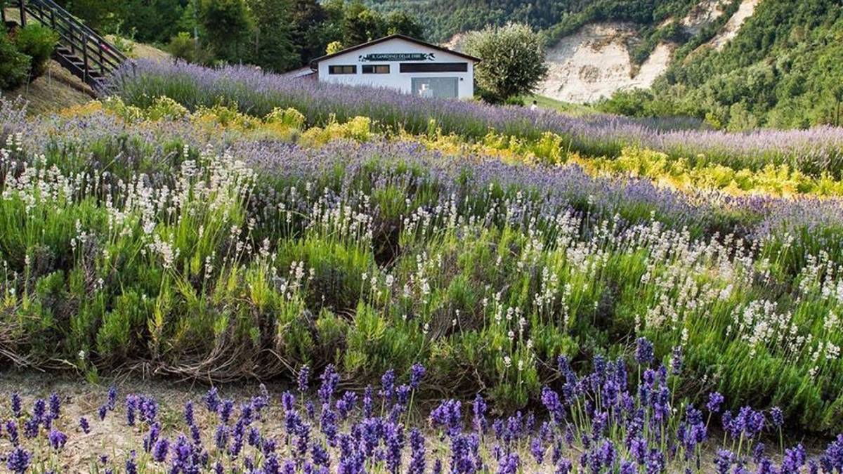 Casola e Riolo, eventi domenicali
