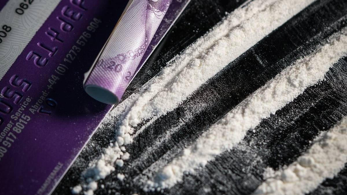 Rimini, vanno ad arrestarlo per armi e droga, ma trovano pure cocaina e 26mila euro