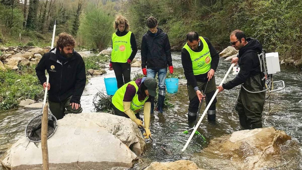 Servizio civile in Romagna: il Parco delle Foreste Casentinesi cerca 4 ragazzi