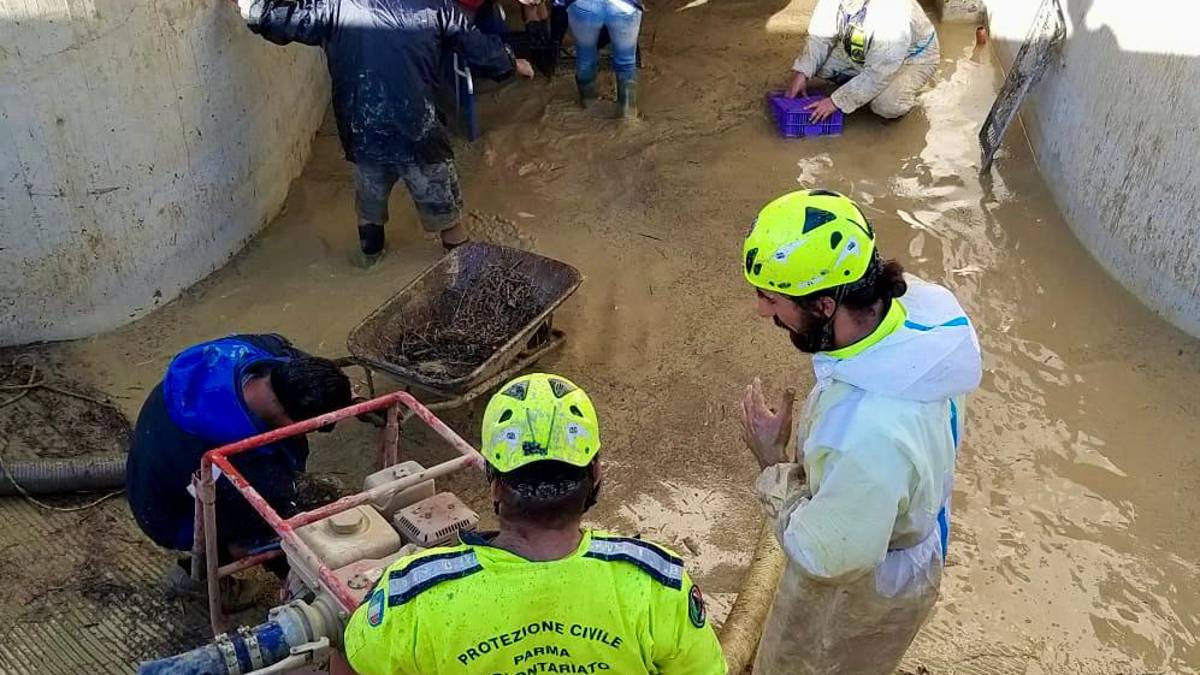 Maltempo Marche, nuovi volontari della Protezione civile dell'Emilia-Romagna nei territori colpiti