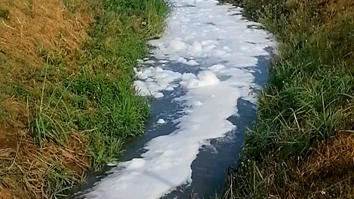 Tra Fusignano e Alfonsine, misteriosa schiuma bianca in un canale