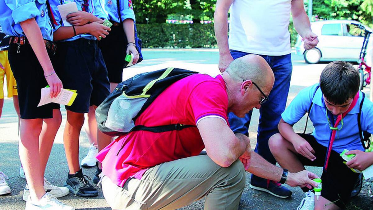 A Imola contro la zanzara tigre scendono in campo i boy scout
