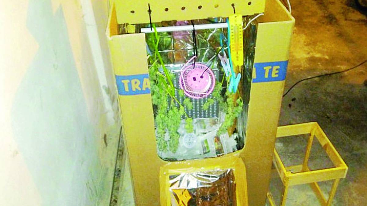 Ravenna, trovato con un etto di droga nel garage. Assolto