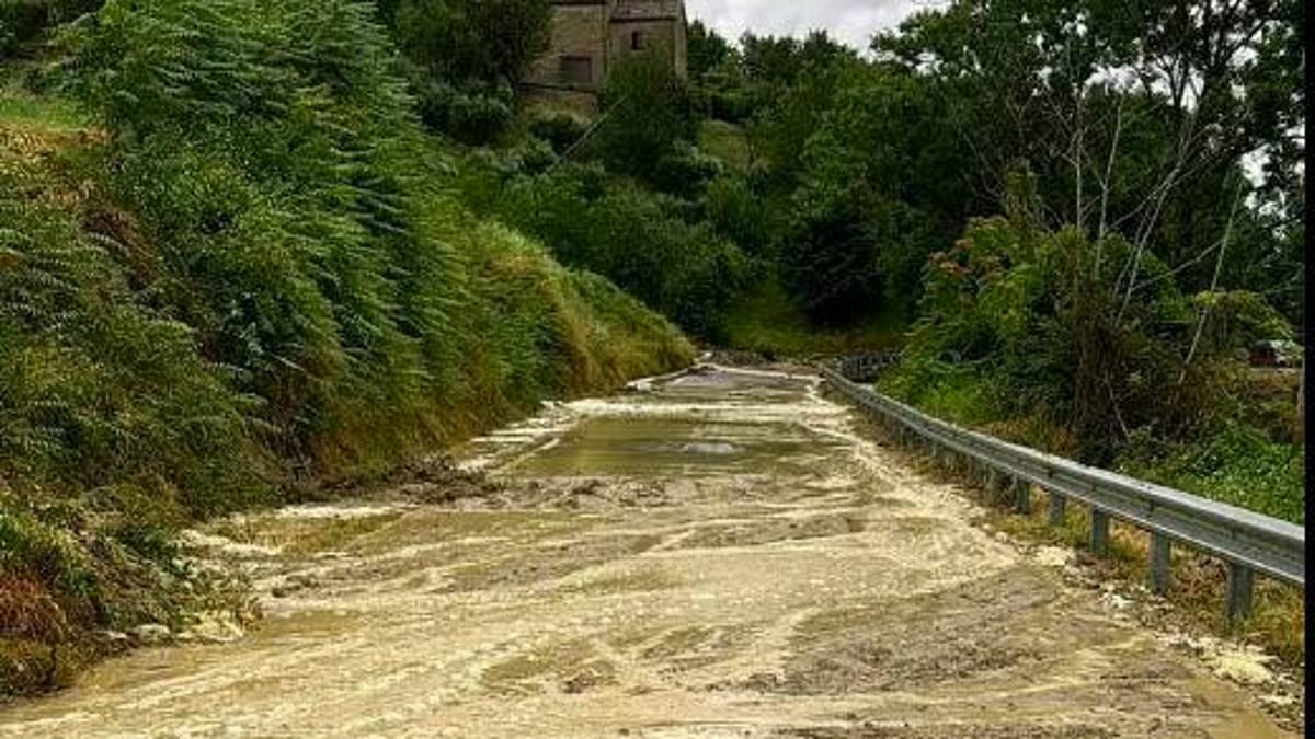 La strada che collega Ponte Fantella a Premilcuore (Foto tratta dal profilo Facebook di Meteo-Pedemontana Forlivese)