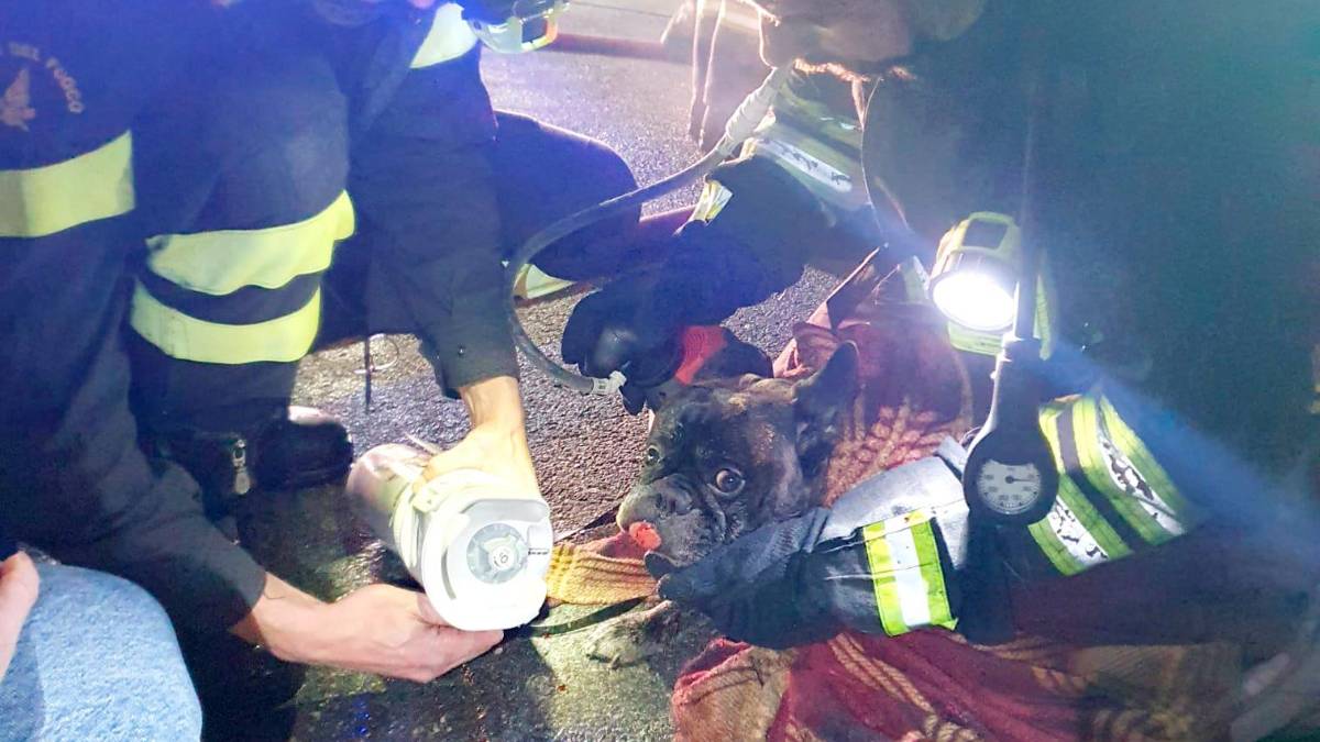 Riccione. Incendio in appartamento, salvata una coppia e il cane - Fotogallery