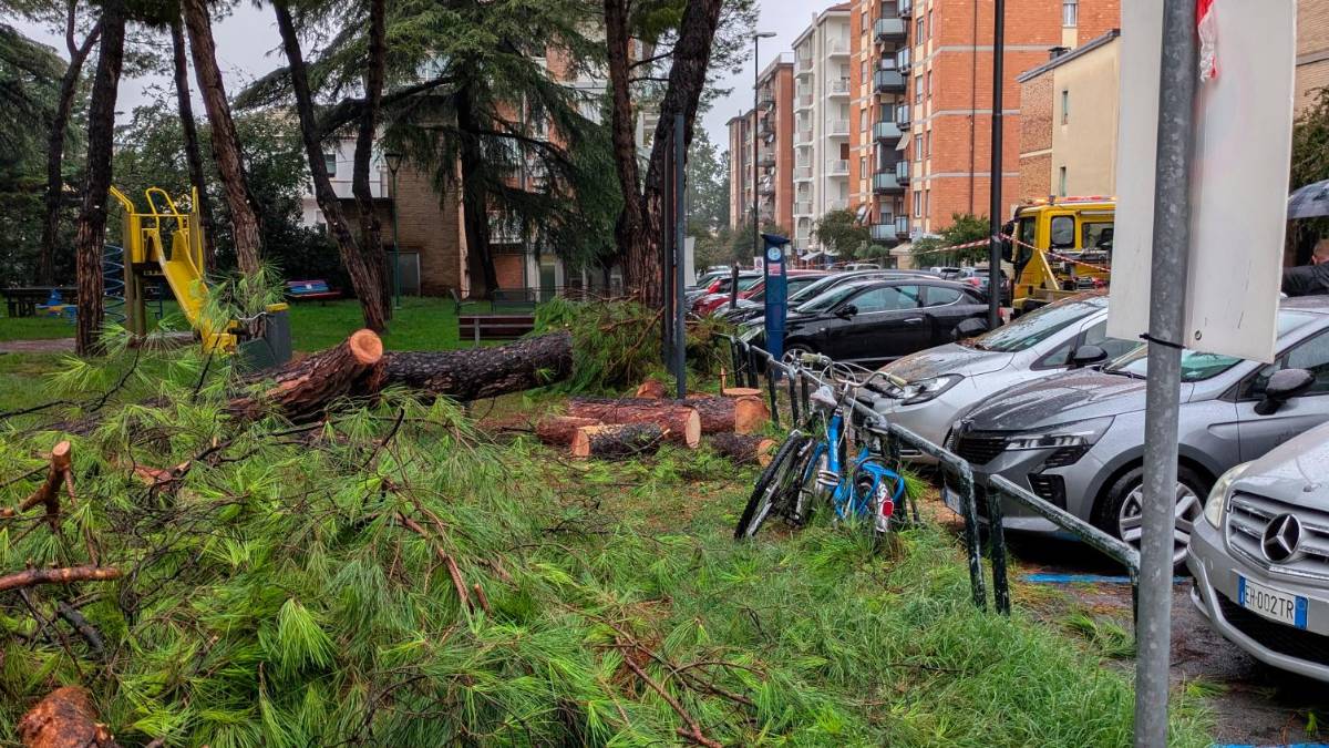 A sinistra quel che resta del pino crollato sull’auto