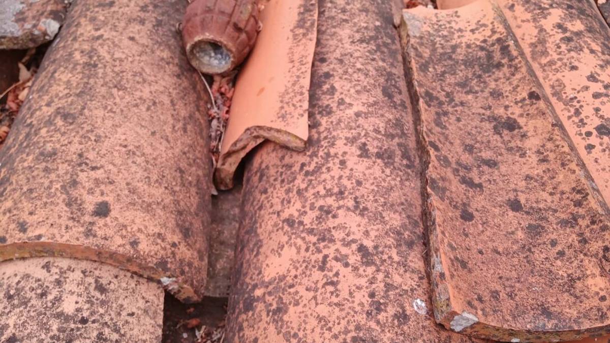 Forlì, ordigni bellici sul tetto del pollaio