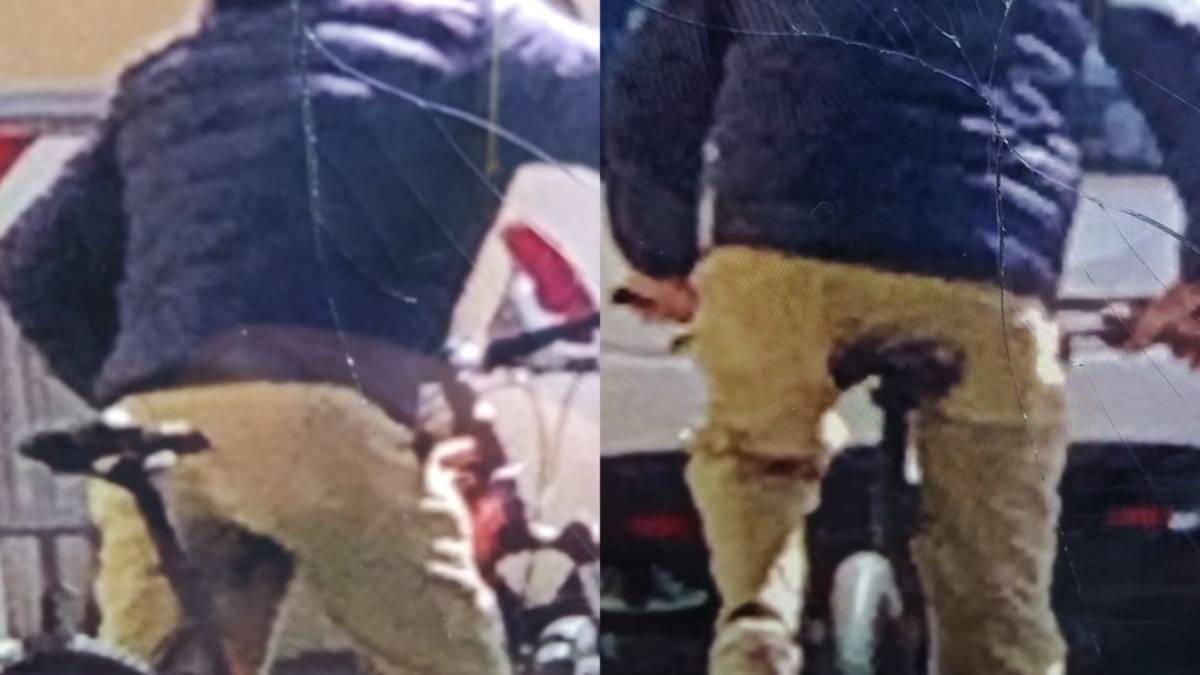 Forlì, due studenti fanno catturare un ladro seriale di biciclette di 64 anni