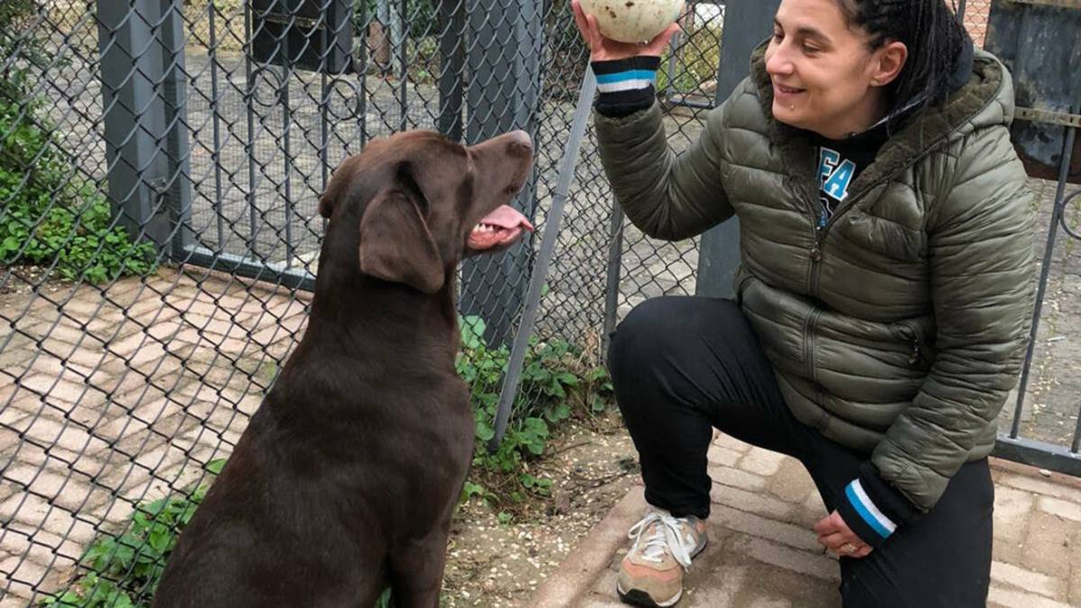 Fusignano, ritrovato il cane rubato da un cortile