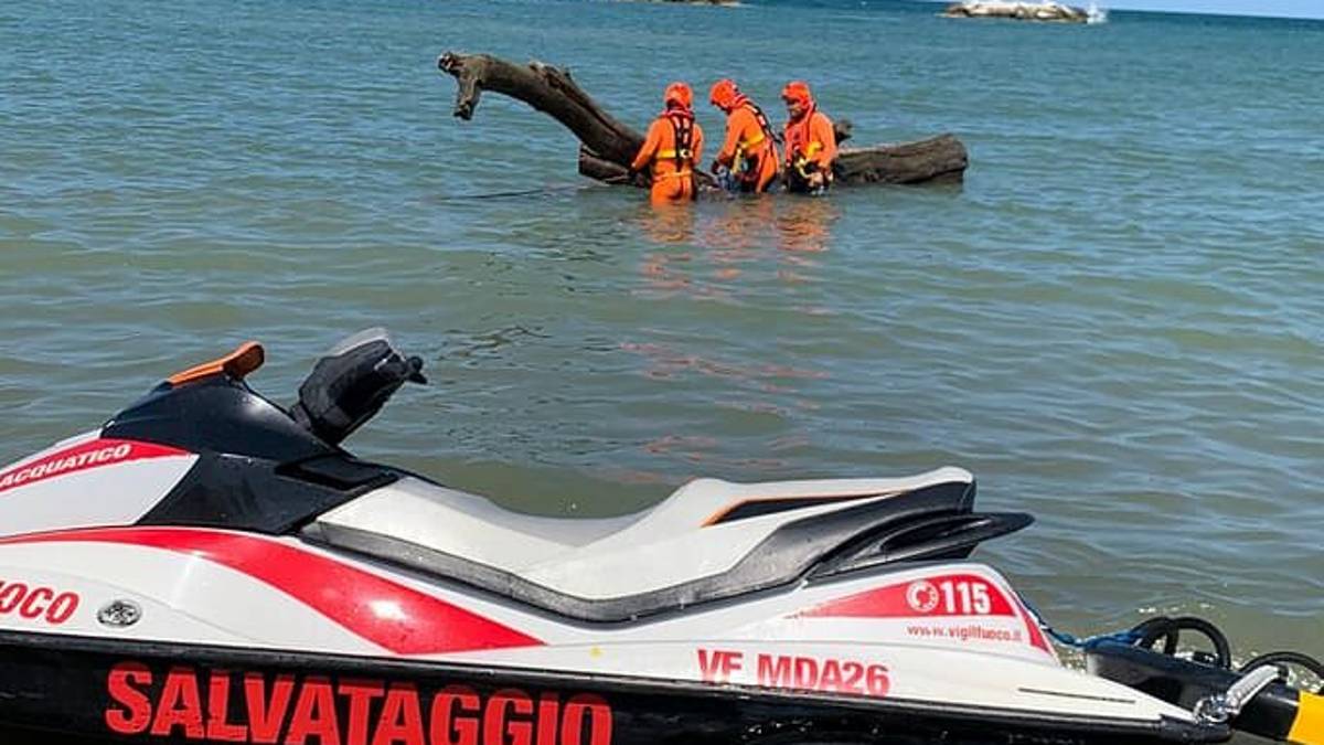 Alberi grossi e pericolosi recuperati in mare a Cesenatico