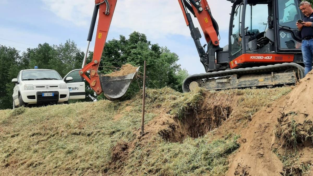 Faenza, Aipo denuncia: tane di roditori di 4 metri sugli argini di Lamone e Senio