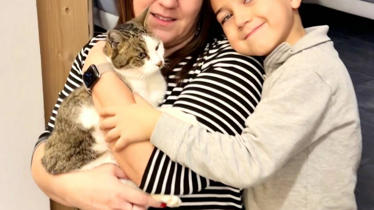 Cotignola, perde la sua gatta, la ritrova per caso dopo due anni