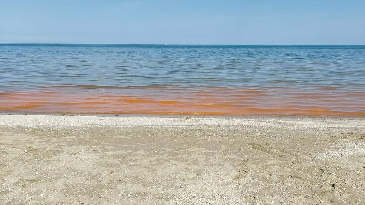 Rimini. L'alga arancione illumina la costa di notte