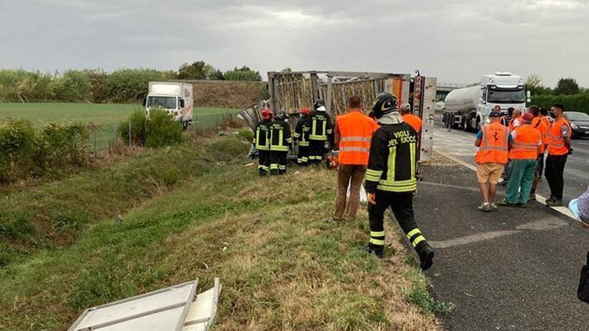 Scontro tra camion: carico di paglia e pollame riversato in Autostrada