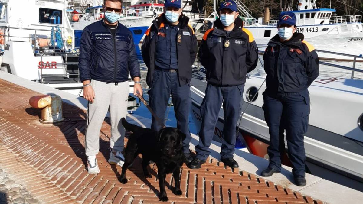 Rimini. Cane fa il bagno e finisce troppo al largo: salvato da capitaneria