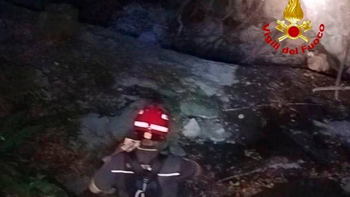 Un cane resta bloccato in un ruscello a San Paolo in Alpe: salvato dai Vigili del Fuoco