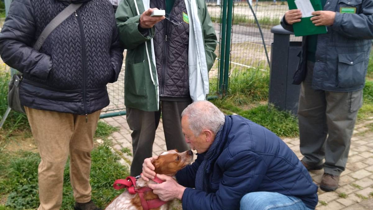 Rimini, cani e sgambamento: mercoledì il Comune incontra i proprietari in via Pastore