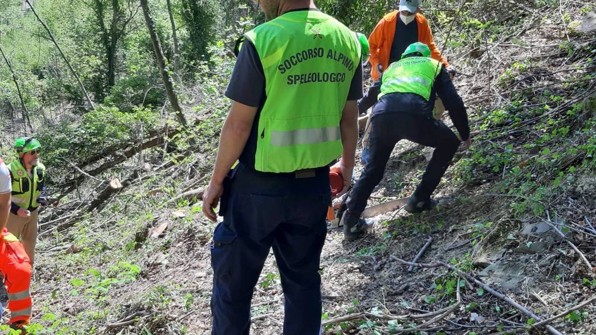 Civitella, un tronco cade sulla sua gamba: 68enne soccorso dall'elicottero VIDEO