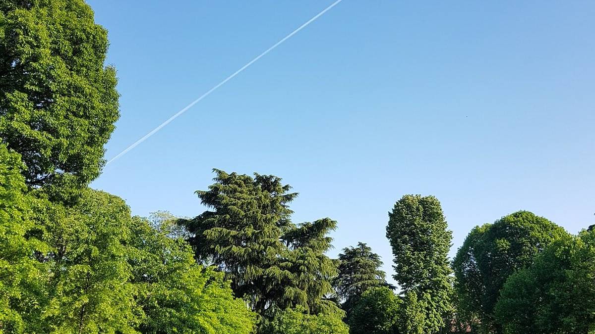 Forlimpopoli, aree verdi gratis per le associazioni sportive
