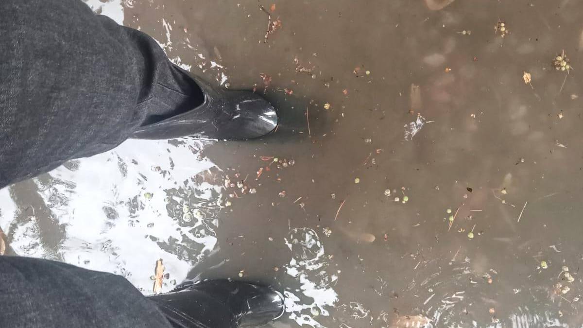 Cesena: il nubifragio ha riacceso i timori per le fognature della zona alluvionata all’Oltresavio - Gallery