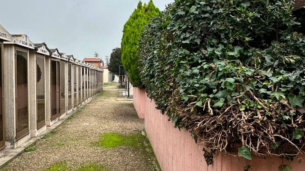 Gli interventi di manutenzione al cimitero di Voltana