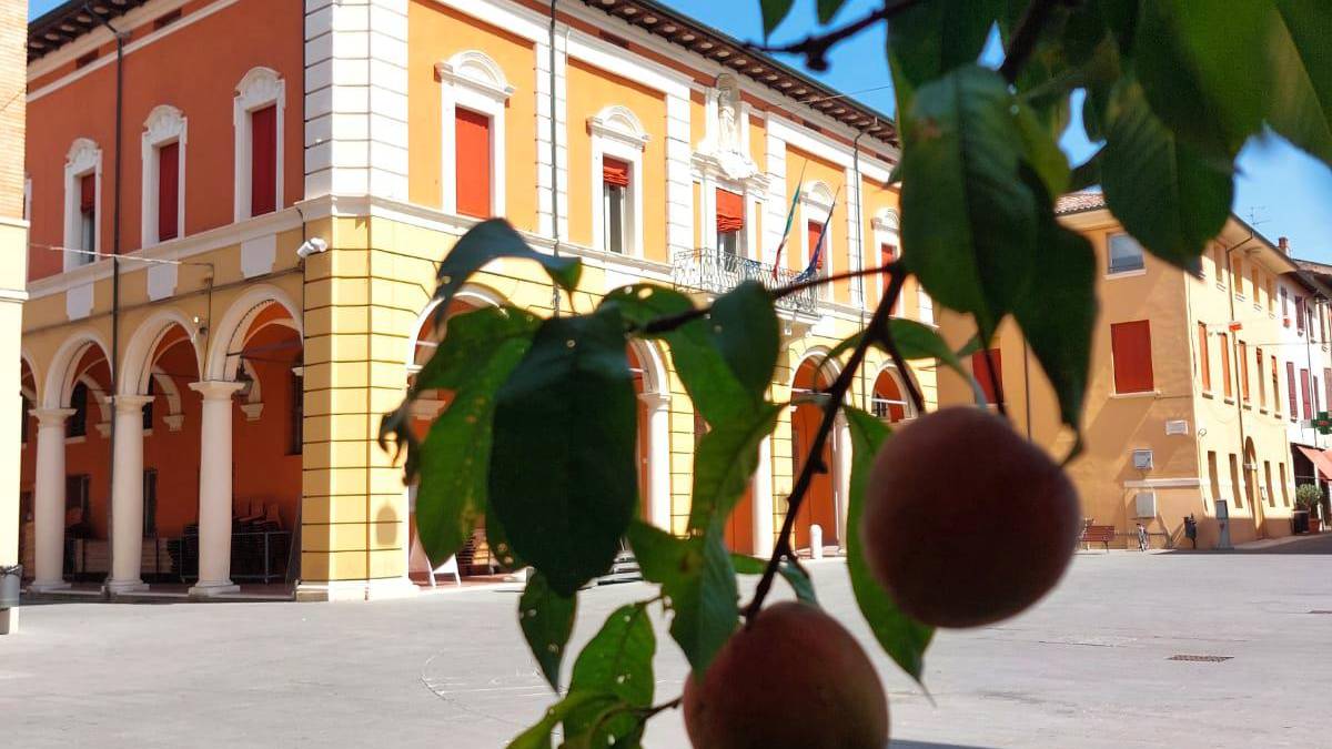 La festa dedicata al prodotto tipico massese è in programma venerdì