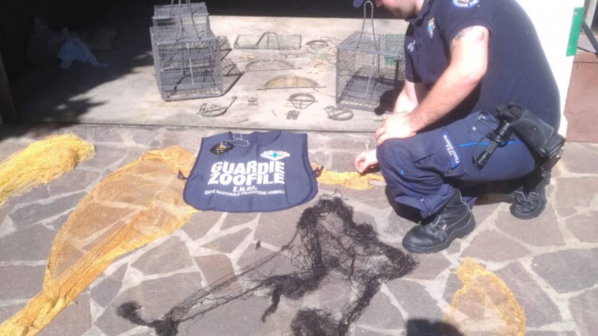 Sequestrate a Cesena reti e gabbie per uccelli: maxi multe