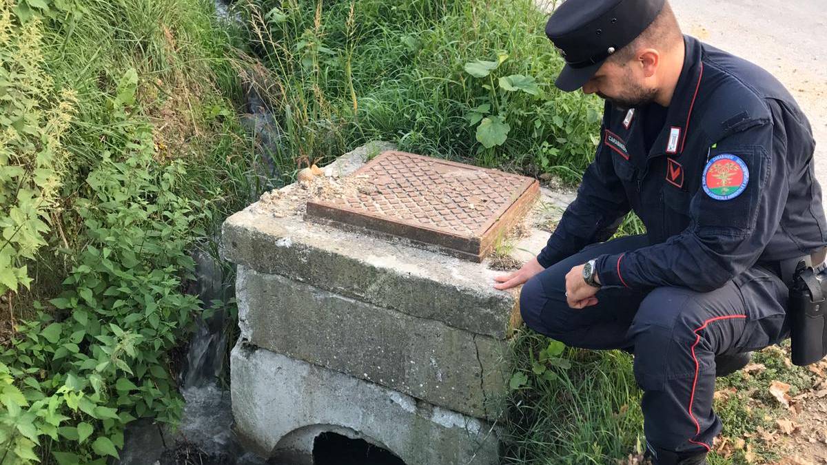 Rifiuti vicino al parco, multati 6 residenti a Poggio Torriana