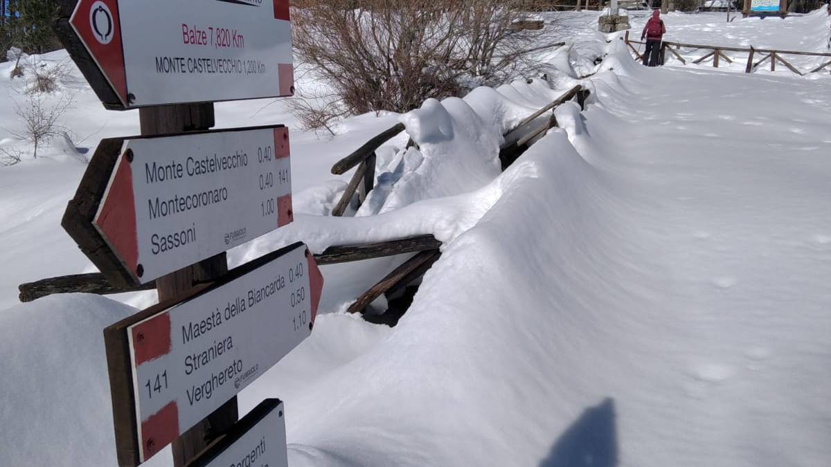 Monte Fumaiolo, sole e impronte di lepre sulla neve alla sorgente del Savio VIDEO