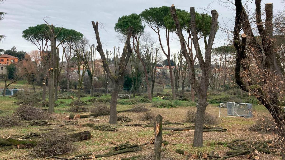 Forlì, protesta per gli alberi tagliati al Ronco Lido FOTOGALLERY