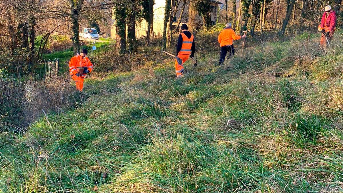 Benvenuti nella Food Forest, la foresta che si mangia a Santa Sofia VIDEO GALLERY