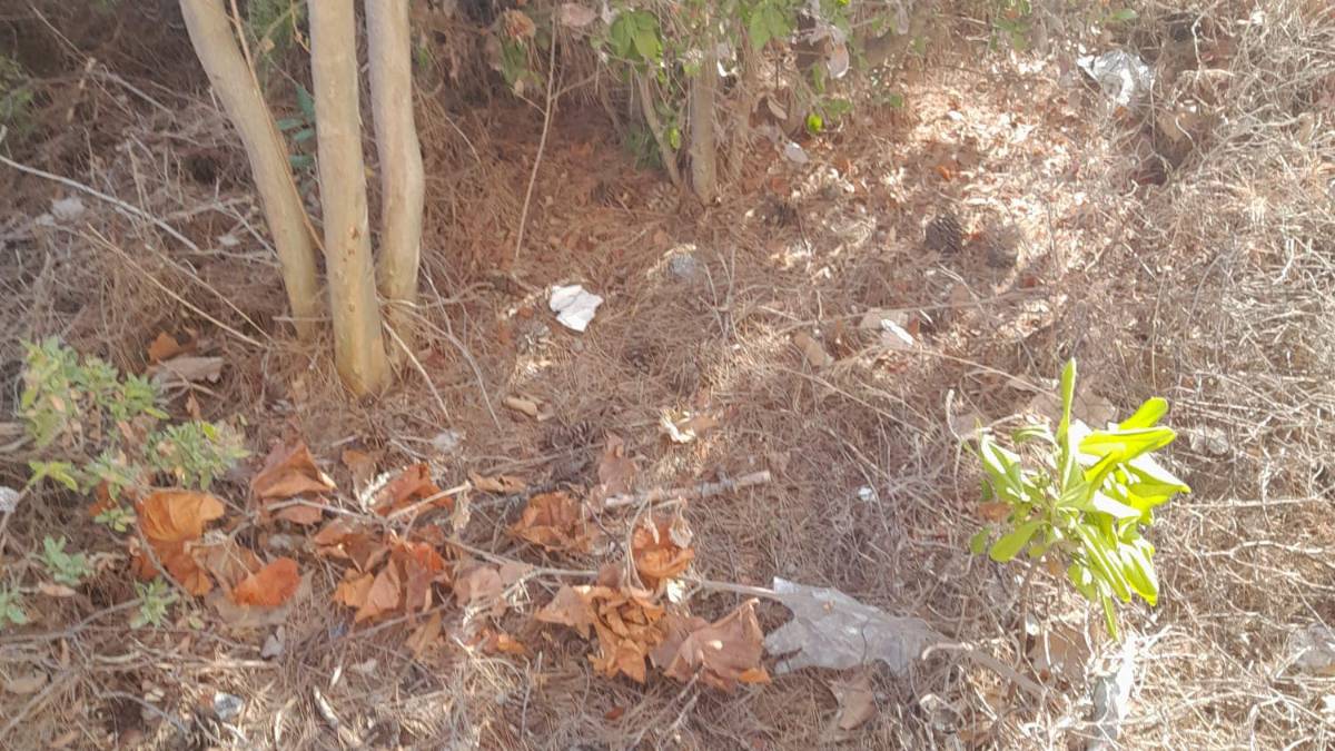 La denuncia dei residenti: La stazione di Viserba è ridotta a una giungla