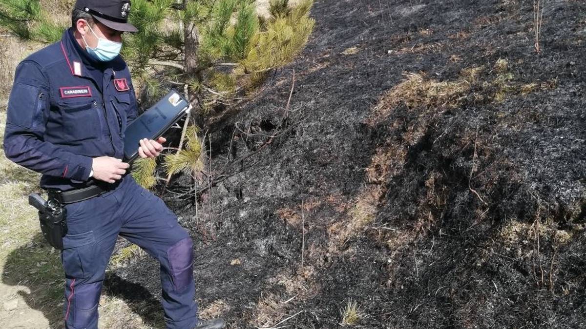 #getAltImage_v1($tempImage)