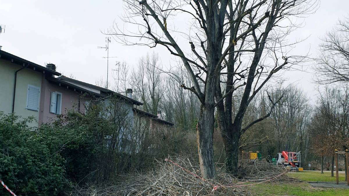 Lugo, Parco del Loto ripulito dai frequentatori